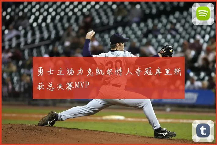 勇士主场力克凯尔特人夺冠库里斩获总决赛MVP